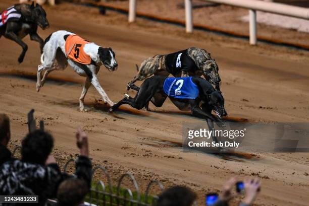 Dublin , Ireland - 24 September 2022; Flashing Willow on the way to winning race two of the 2022 BoyleSports Irish Greyhound Derby Final meeting at...