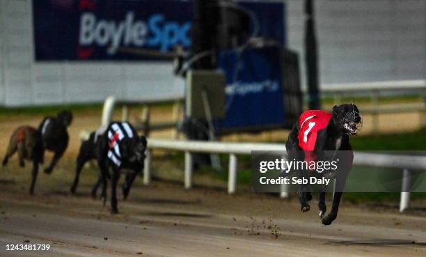 Dublin , Ireland - 24 September 2022; Swords Rex on the way to winning race three of the 2022 BoyleSports Irish Greyhound Derby Final meeting at...