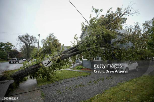 Tree sits against power lines and a home after Post-Tropical Storm Fiona hit on September 24, 2022 in Sydney, Nova Scotia on Cape Breton Island in...
