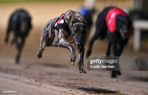 Dublin , Ireland - 24 September 2022; Crafty Bonanza on the way to winning race six of the 2022 BoyleSports Irish Greyhound Derby Final meeting at...