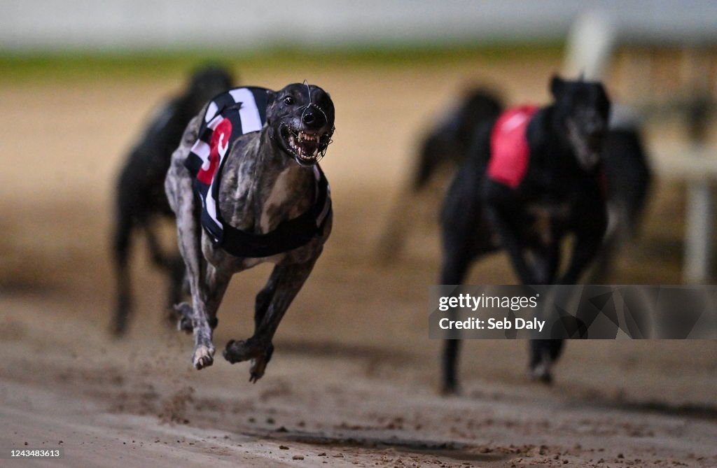 2022 BoyleSports Irish Greyhound Derby