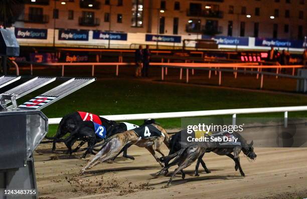 Dublin , Ireland - 24 September 2022; Greyhounds leave the stalls at the start of the Michael Fortune Memorial Derby Plate Final during the 2022...