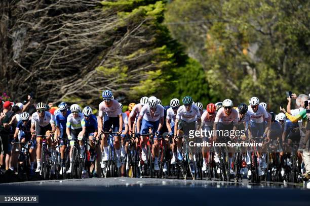 The Peloton climbs during the Men's Elite Road Race at the UCI Road World Championship in Wollongong on September 25, 2022.