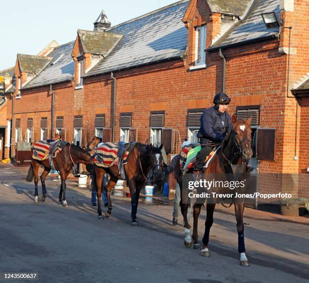 Irish jockey Eddie Ahern at Gainsborough Stables in Newmarket, 8th March 2011.