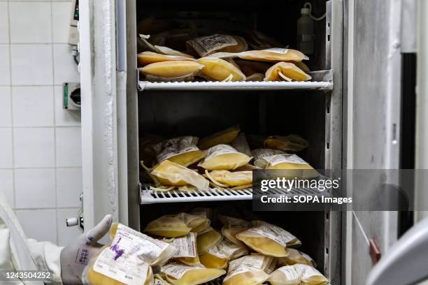 Bags of processed blood plasma seen placed in the freezer at Nakuru Regional Blood Transfusion Centre. Two of every three units of blood are...