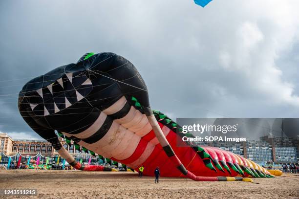 Man checks the lower part of one of the largest kites in the world. The International Kite Festival Scheveningen makes the most of the consistent...