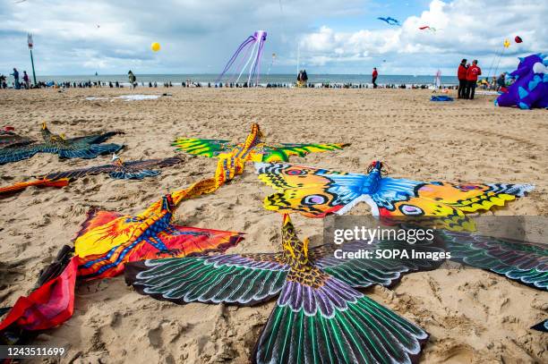 View of hand made kites laying on the beach. The International Kite Festival Scheveningen makes the most of the consistent prevailing winds blowing...