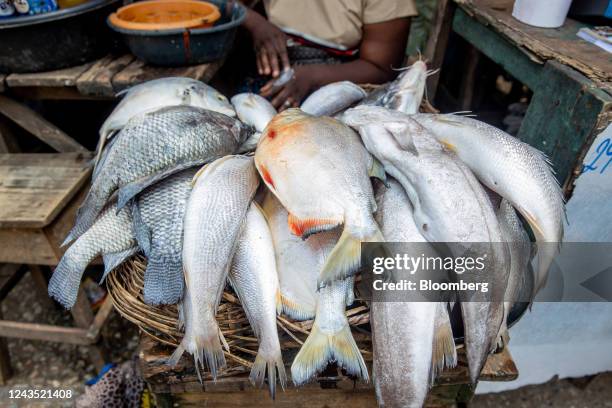 Fresh Fish Inflation 4,482 Fishery Products Stock Photos, High-Res Pictures, and Images ...