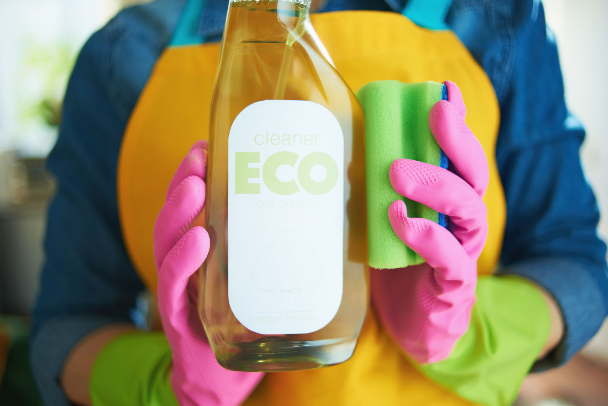 affordable eco-cleaners