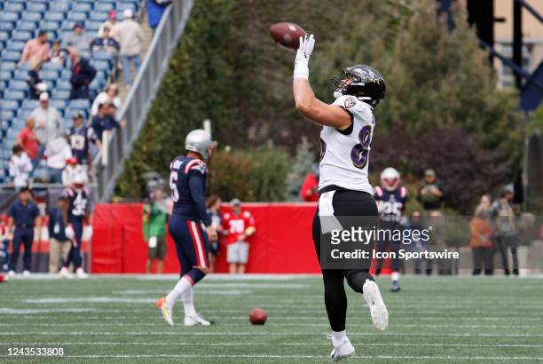 Baltimore Ravens tight end Nick Boyle makes a catch in warm up before a game between the New England Patriots and the Baltimore Ravens on September...