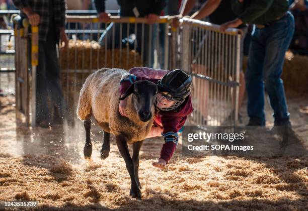 Mutton Bustin Photos and Premium High Res Pictures - Getty Images
