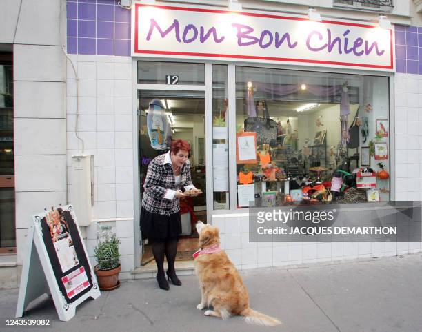 Américaine Harriet Sternstein présente à son labrador Sophie-Marie - dont les griffes sont vernies en rose - des gâteaux pour chiens, le 06 octobre...