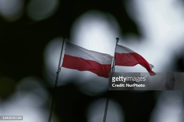 Polish flags are seen flying through foliage in Warsaw, Poland on 27 September, 2022.