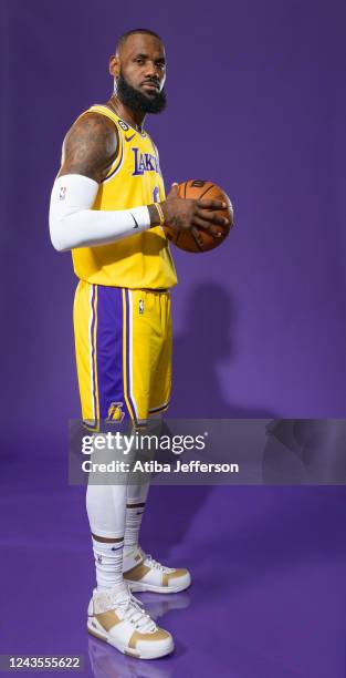 James 4,145 Lebron James Portrait Stock Photos, High-Res Pictures, and Images ...
