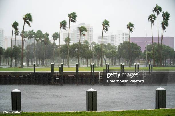 Wind gust blows palm trees at Sarasota Bay as Hurricane Ian approaches on September 28, 2022 in Sarasota, Florida. Forecasts call for the storm to...
