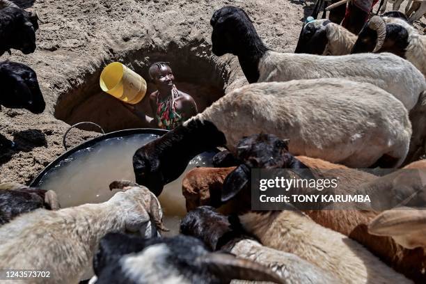 Goats Digging 126 Digging Wells Africa Stock Photos, High-Res Pictures, and Images ...
