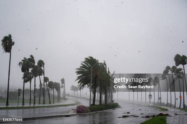 Wind gusts blow debris across the John Ringling Causeway as Hurricane Ian churns to the south on September 28, 2022 in Sarasota, Florida. The storm...
