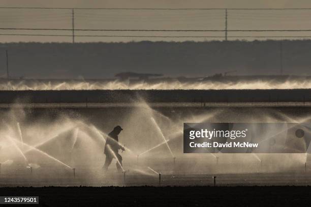 Farm worker adjust sprinklers watering a field on September 28, 2022 near Yuma, Arizona. The federal government has proposed an unprecedented plan to...