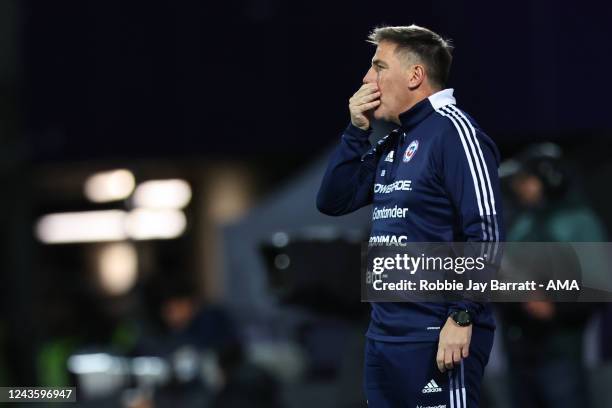 Eduardo Berizzo the head coach / manager of Chile during the International Friendly match between Qatar and Chile at Generali Arena on September 27,...