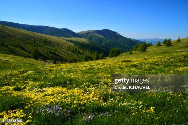 mountain scenery france - flower bed photos et images de collection