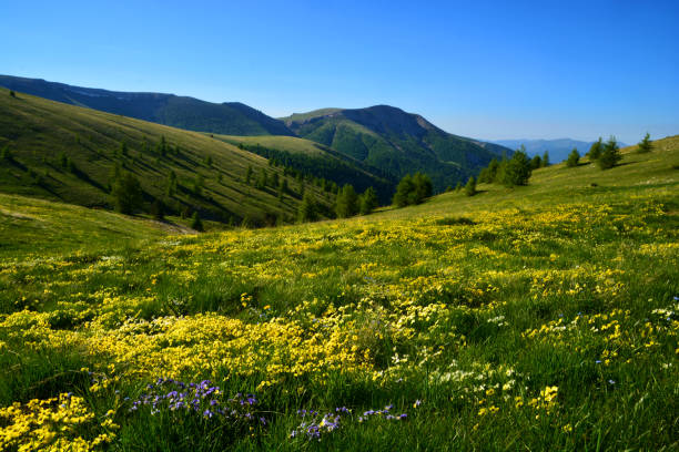 mountain scenery france - spring landscape stock pictures, royalty-free photos & images