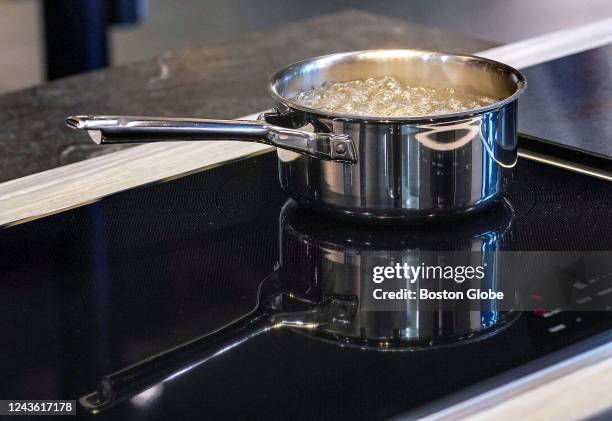 Boston, MA Water boiling on a Wolf Induction cooktop.