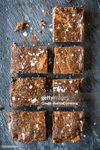 de brownies van de chocolade op een grijze leisteenplaat - brownie stockfoto's en -beelden