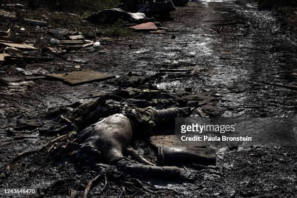 The decomposed body of a Russian soldier lies in the mud on October 1, 2022 in Kupiansk, Ukraine. The city has been successfully captured by...