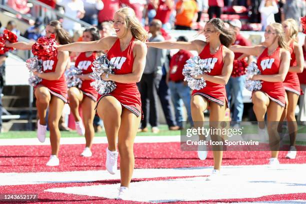 Wisconsin dance team during a college football game between the University of Wisconsin Badgers and the University of Illinois Fighting Illini on...