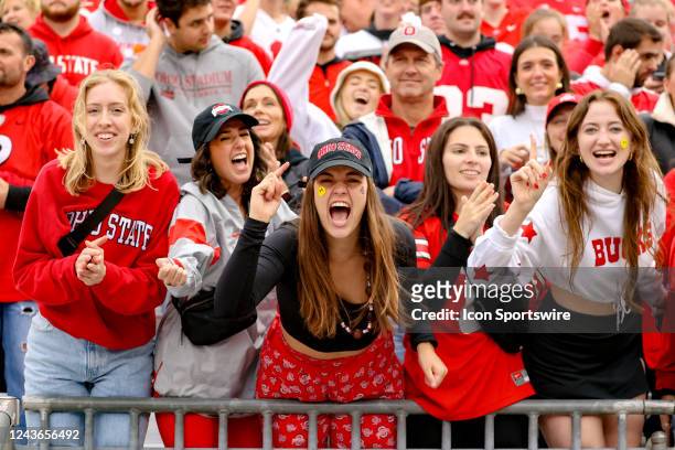 Ohio State fans celebrates a Buckeyes touchdown during the second quarter of the college football game between the Rutgers Scarlet Knights and Ohio...