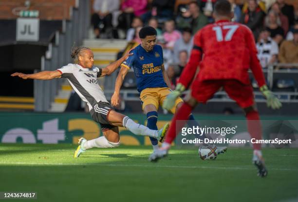 Fulhams Bobby Decordova-Reid denies Newcastle United's Jamal Lewis a shot at goal during the Premier League match between Fulham FC and Newcastle...