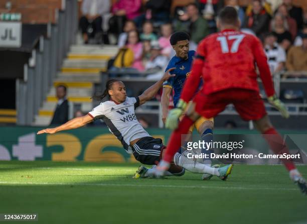 Fulhams Bobby Decordova-Reid denies Newcastle United's Jamal Lewis a shot at goal during the Premier League match between Fulham FC and Newcastle...