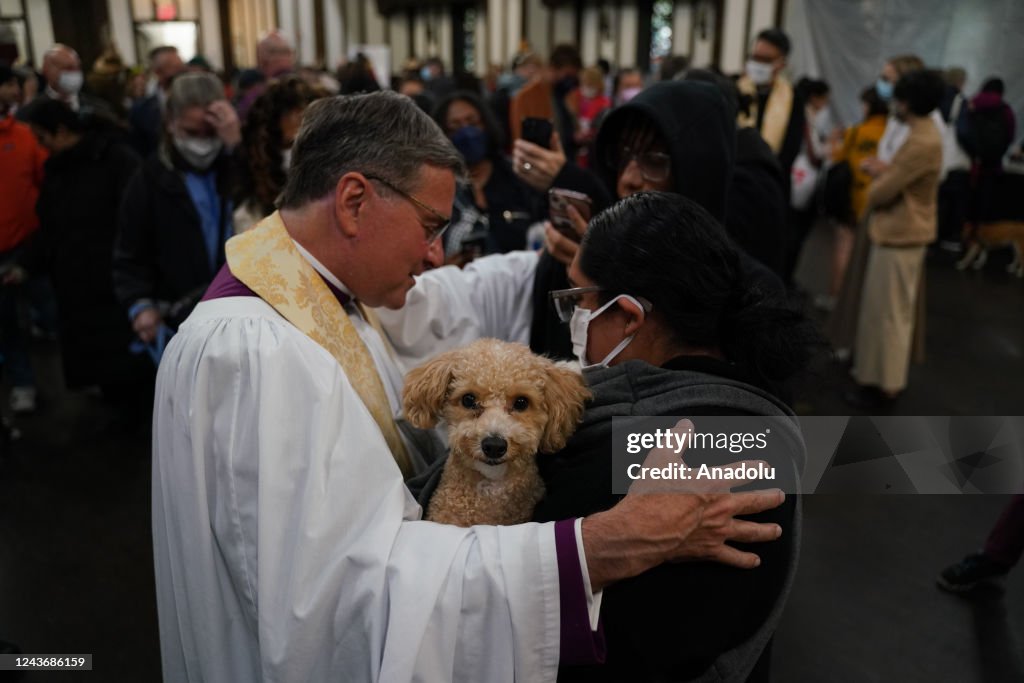 Pet owners attend to annual 'Blessing of the Animals' event in Manhattan