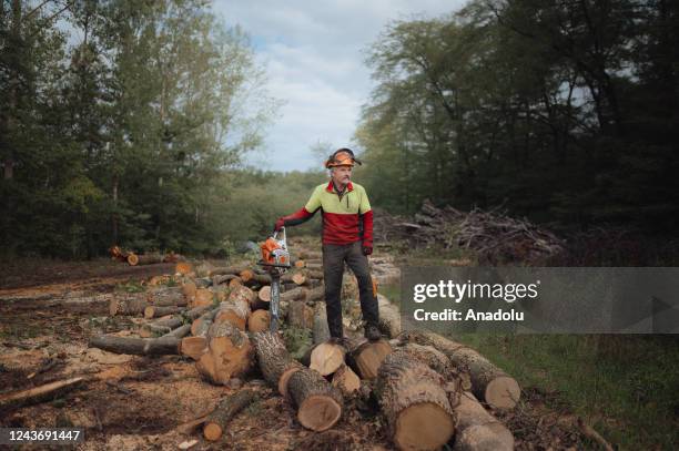 Local logger Kiss Janos is posing for a quick portrait amongst a load of wood logs as firewood loggers in Eastern Slovakia are working at maximum...