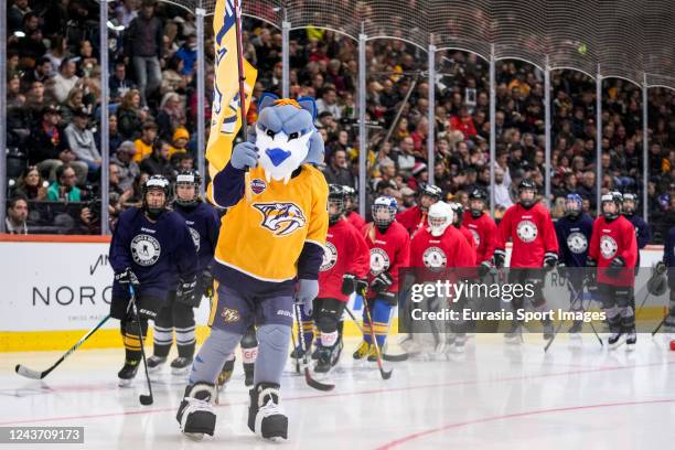 Preds Maskcot 490 Nashville Predators Mascot Stock Photos, High-Res Pictures, and ...