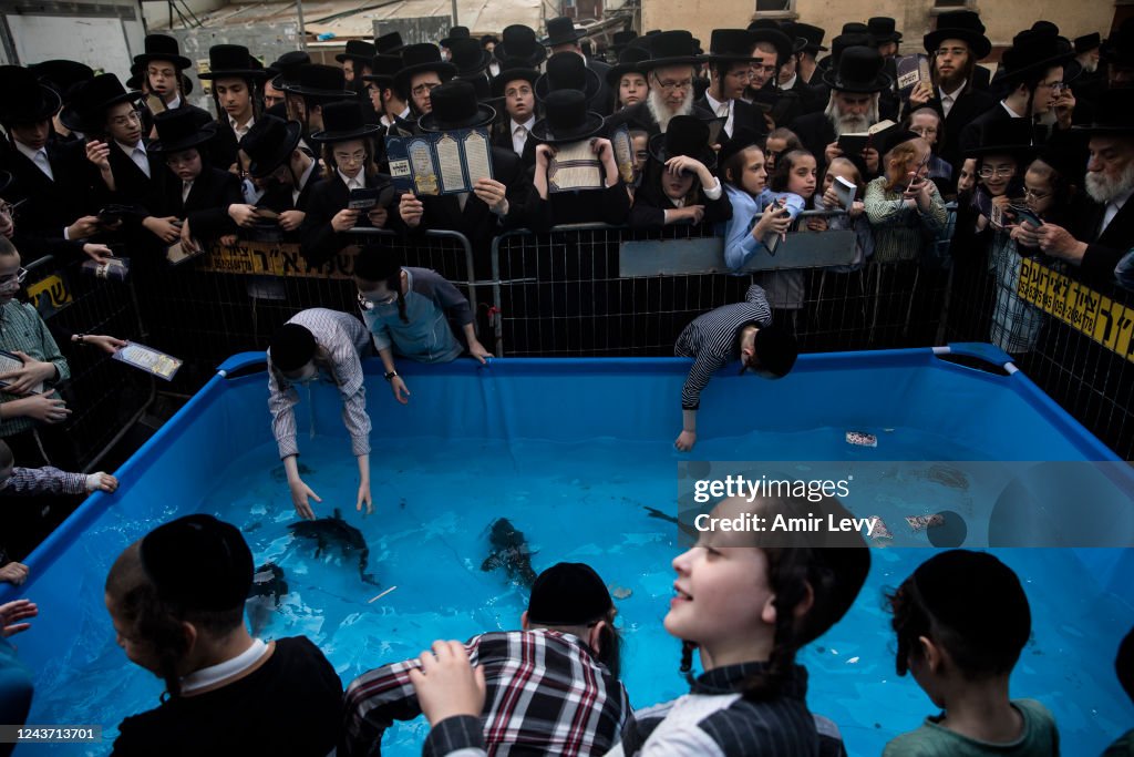 Hasidic Ritual Orthodox jews of the Vizhnitz hasidic dynasty play with fish in a ...
