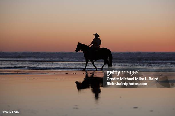 male equestrian on beach - horse silhouette stock pictures, royalty-free photos & images