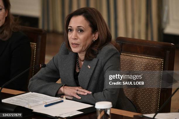 Vice President Kamala Harris delivers remarks at the second meeting of the Task Force on Reproductive Healthcare Access in the State Dining Room of...