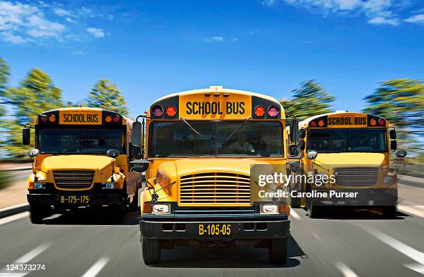 three school buses driving towards camera - bus front stock pictures, royalty-free photos & images