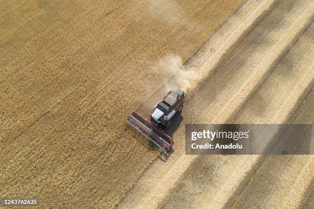 An aerial photo shows a combine harvester cutting through a field of wheat during harvesting season in the Orenburg region, Russia on August 31,...