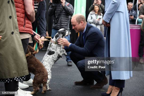 Prince William, Prince of Wales greets a dog as he visits the Trademarket outdoor market, as part of the royal visit to Northern Ireland on October...