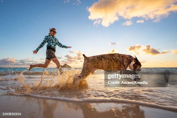 woman with boxer dog runs along the beach at sunrise - female 40 year old beach stock pictures, royalty-free photos & images