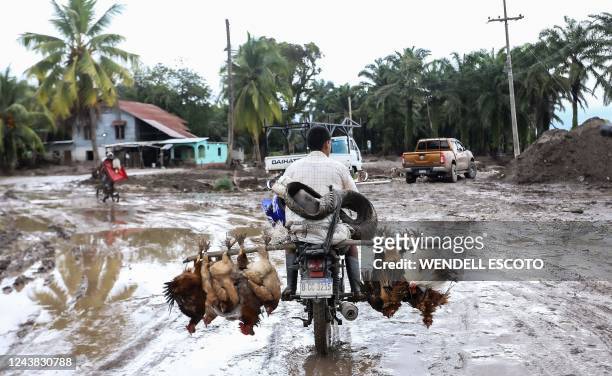 Man transports chickens on a motorcycle as he leaves the former banana fields of the municipality of El Progreso, Yoro department, Honduras, before...