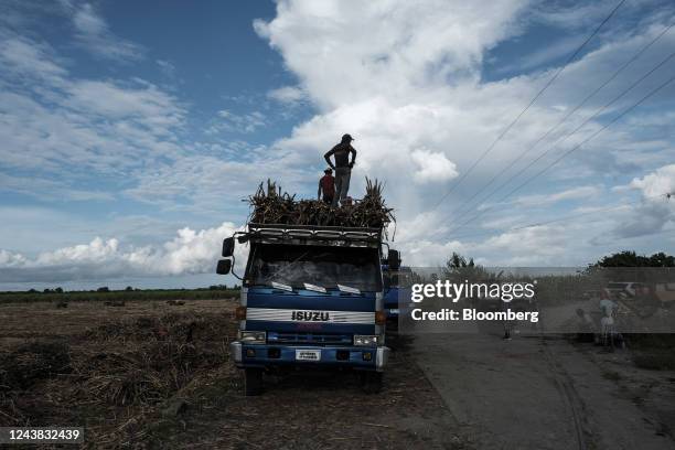 Harvested sugarcane crops are loaded into trucks at a farm in Victorias City, Negros Occidental, the Philippines, on Friday, Oct. 7, 2022. The...