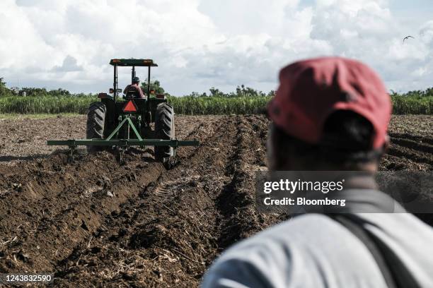 Motorized tractor plows the soil in preparation for planting season at a sugarcane farm in Victorias City, Negros Occidental, the Philippines, on...