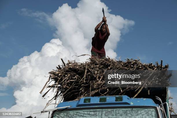 Farmworkers chops harvested sugarcane crops on a truck at a farm in Victorias City, Negros Occidental, the Philippines, on Friday, Oct. 7, 2022. The...