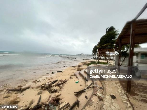 Wind blows palm trees ahead of Tropical Storm Julia in San Andres Island, Colombia, on October 8, 2022. - Central America and Colombia were on alert...