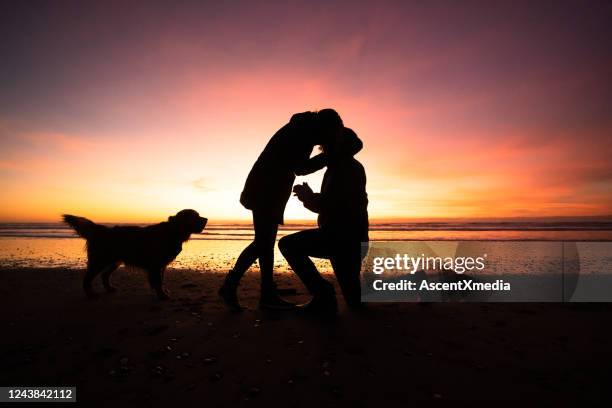 man proposes to woman on beach at sunrise - team engagement stock pictures, royalty-free photos & images