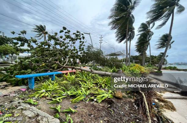Fallen trees are seen after the passage of Tropical Storm Julia in San Andres Island, Colombia, on October 9, 2022. - Julia passed over a trio of...
