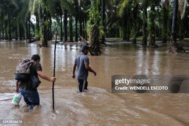 Men wade through a flooded area at an African palm plantation in the former banana fields of the municipality of El Progreso, department of Yoro,...